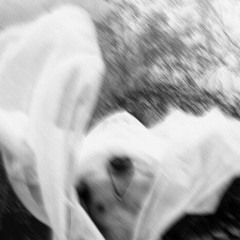 panelaço1_VASO - ERICK JPG