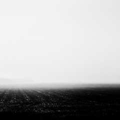 A Hallow Fog