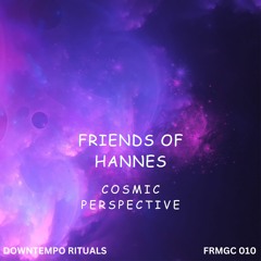 Friends of Hannes - Cosmic Perspective (FREE DL)