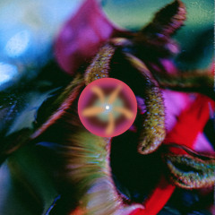 [subgl002 sub-alchemy] Luxe - Skin