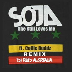 DJ Red x SOJA x Collie Buddz - She Still Loves Me [Remix]