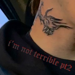 i'm not terrible pt2