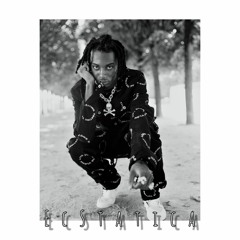 PLAYBOI CARTI NO 9 FLIP