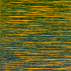 11719 [Silent Leaf-runner (Metioche Vittaticollis)]