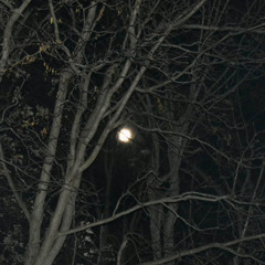 DONT LET ME GIVE THIS UP