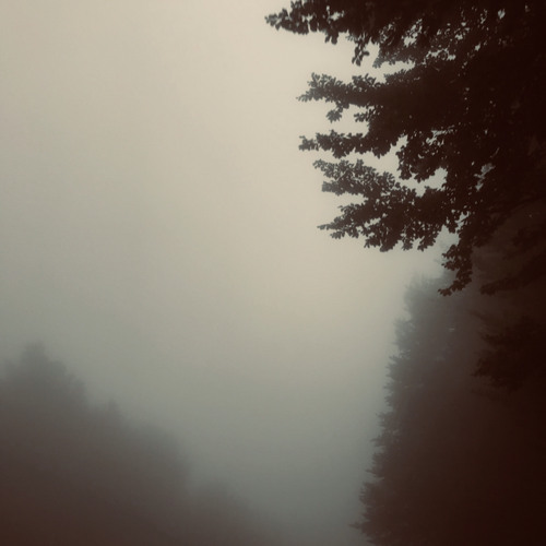 S0aq x Icetraler - All alone (prod. by.Deadboy)
