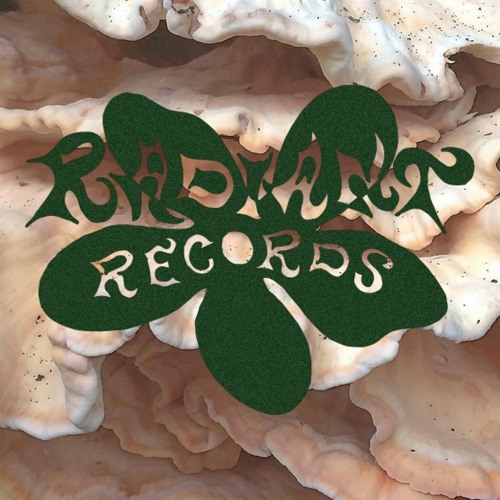 052 - JUNIORE & RIGO