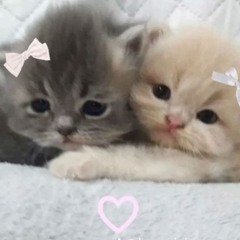 ★ gAtA_miChUu ★ [m a k e t a]