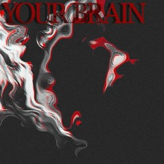 door politics - YOUR BRAIN