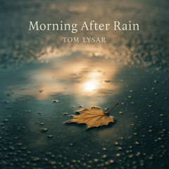 Morning After Rain