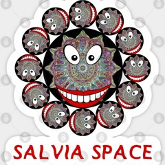 SOSO - SALLY SPACE