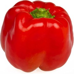 Citizen of Planet Paprika