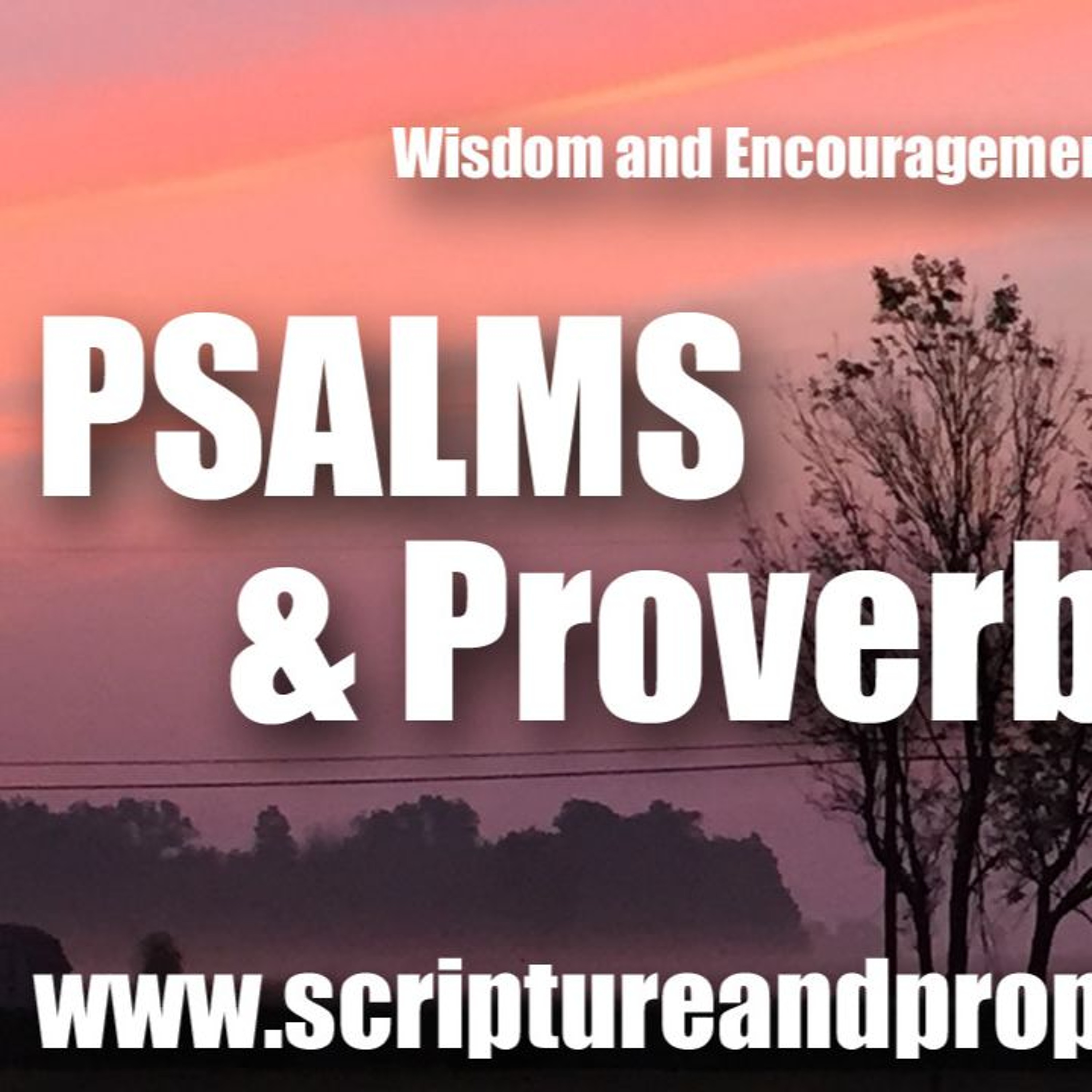 Wisdom From Psalm 25 & Proverbs 26: Shew me thy ways, O LORD