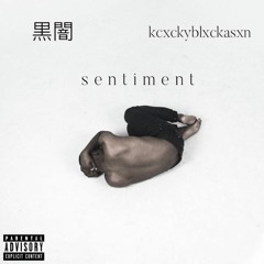 sentiment (Feat. kcxckyblxckasxn) [prod. hanislip]