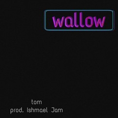 Wallow prod. iShmael Jam