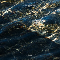 Sure Thing Mix 120: Shoal