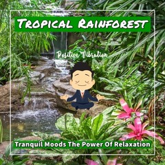 Positive Vibration Zen Music #3 The Power of Relaxation Tropical Rainforest