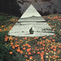 Ceramic - Fuck Sanity