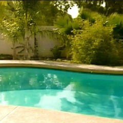 Webinar™ -Bonus fruit II