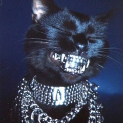 CHEST PAIN (Freestyle)