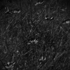 gOd 2peed - by DaVinci Baklava (Prod. purc)