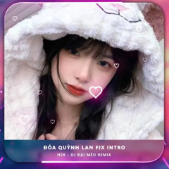 Đóa Quỳnh Lan (Fix Intro) (Đại Mèo Remix)