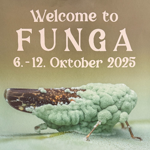 Welcome To Funga