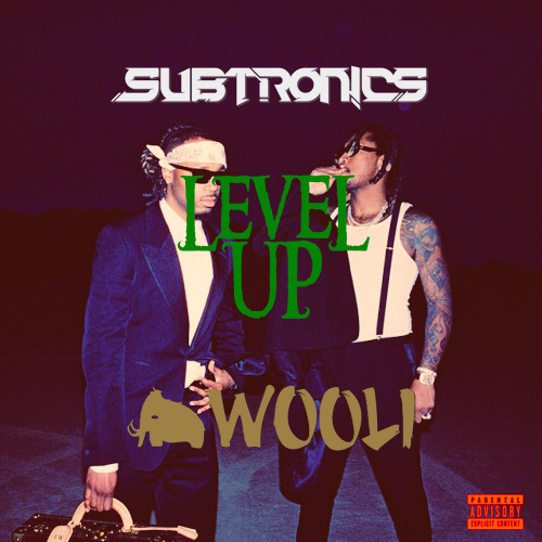 SUBTRONICS X WOOLI X LEVEL UP X FUTURE X METRO BOOMIN X PLAYBOI CARTI - DINGUS TYPE SHIT