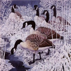 Wild Goose Chase (prod. cyberia)