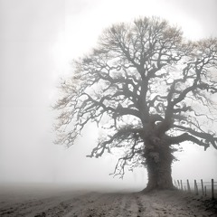 In The Shade Of The Oak (Radio Version)