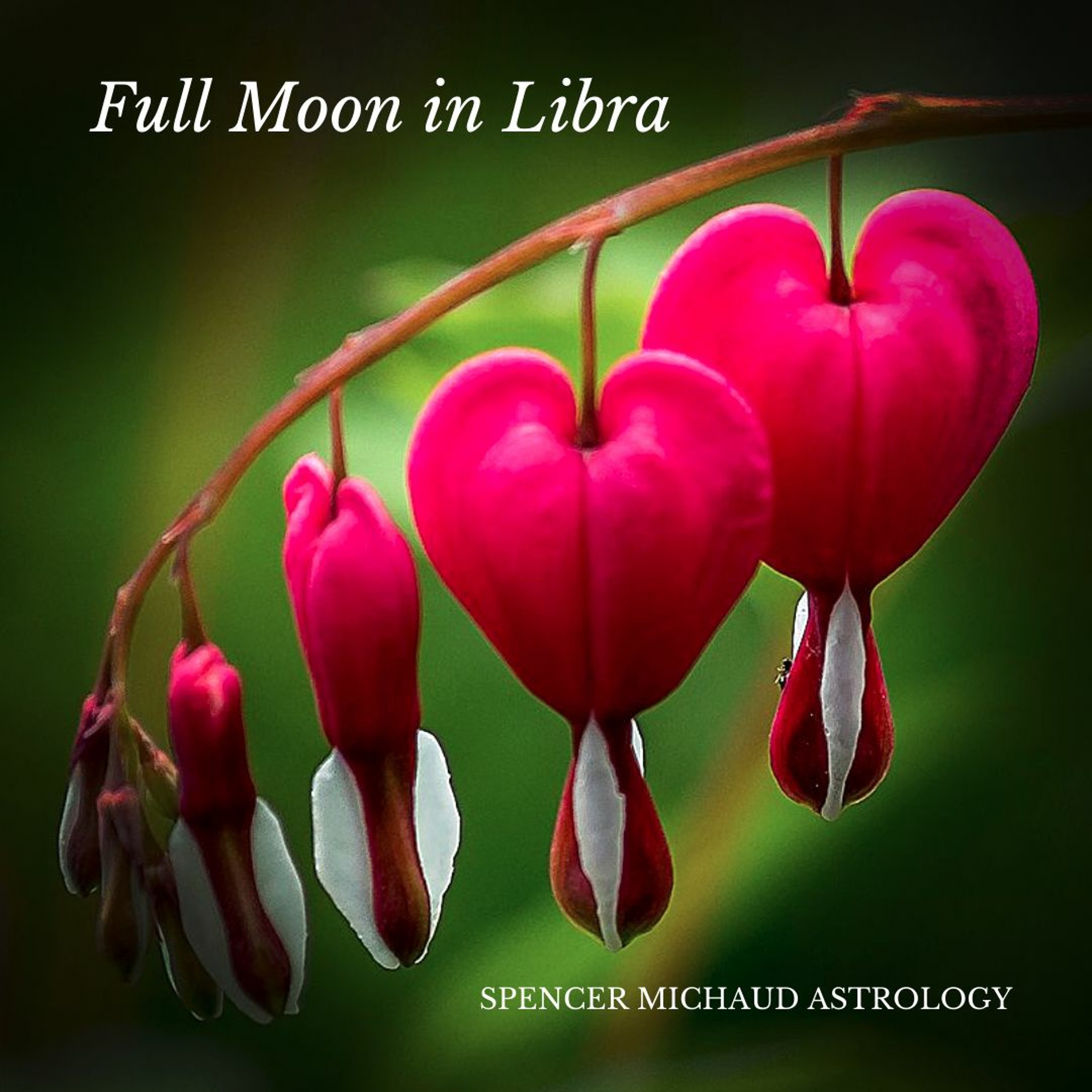 Spencer Michaud Astrology