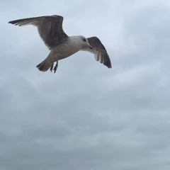 Clotho