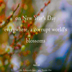 on New Year's Day [naviarhaiku574]