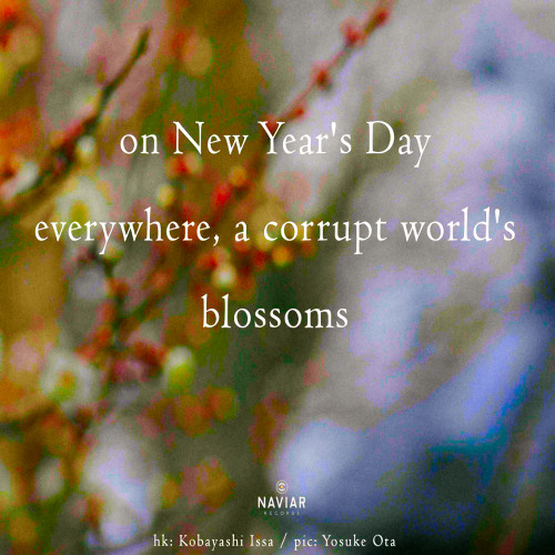 on New Year's Day [naviarhaiku574]