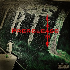 TRTL Guieseppe - HoGo Stick [Prod. CTP]