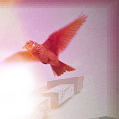 LE VOYAGE DE L'ALOUETTE - SÉANCE # 1