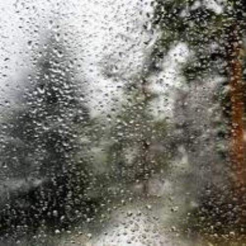 Petrichor
