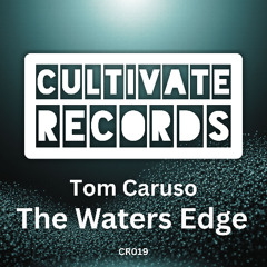 Tom Caruso -The Waters Edge - (Original)