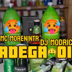 ADEGA 01 - MC MORENIN TR , DJ MODRIC