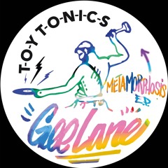 Gee Lane - Metamorphosis EP [TOYT156]