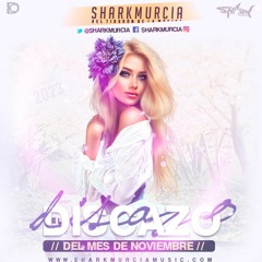 EL DISCAZO (Noviembre 2023) By @SharkMurcia [Recopilatorio 172 Tracks]