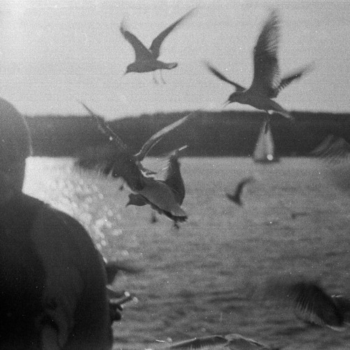 WAVE/AMBIENT/TRAP/WITCH HOUSE