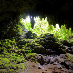 Caves of Camuy 10.11.2025