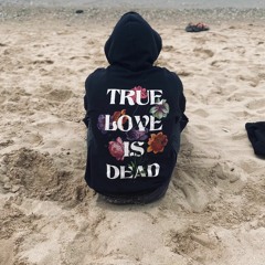 Way Too Much Remix feat.Heartbreakid(HBK)