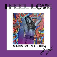 I FEEL LOVE - MARIMBO MASHUP - BY JAYLI