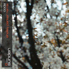 PREMIERE: Sunden - Coda [LL029]