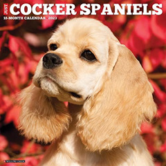 [Free] PDF 📰 Just Cocker Spaniels 2023 Wall Calendar by  Willow Creek Press [EBOOK E