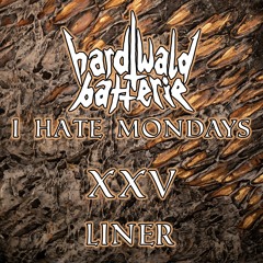 I Hate Mondays XXV | Liner | Hardtrance | 160-170bpm