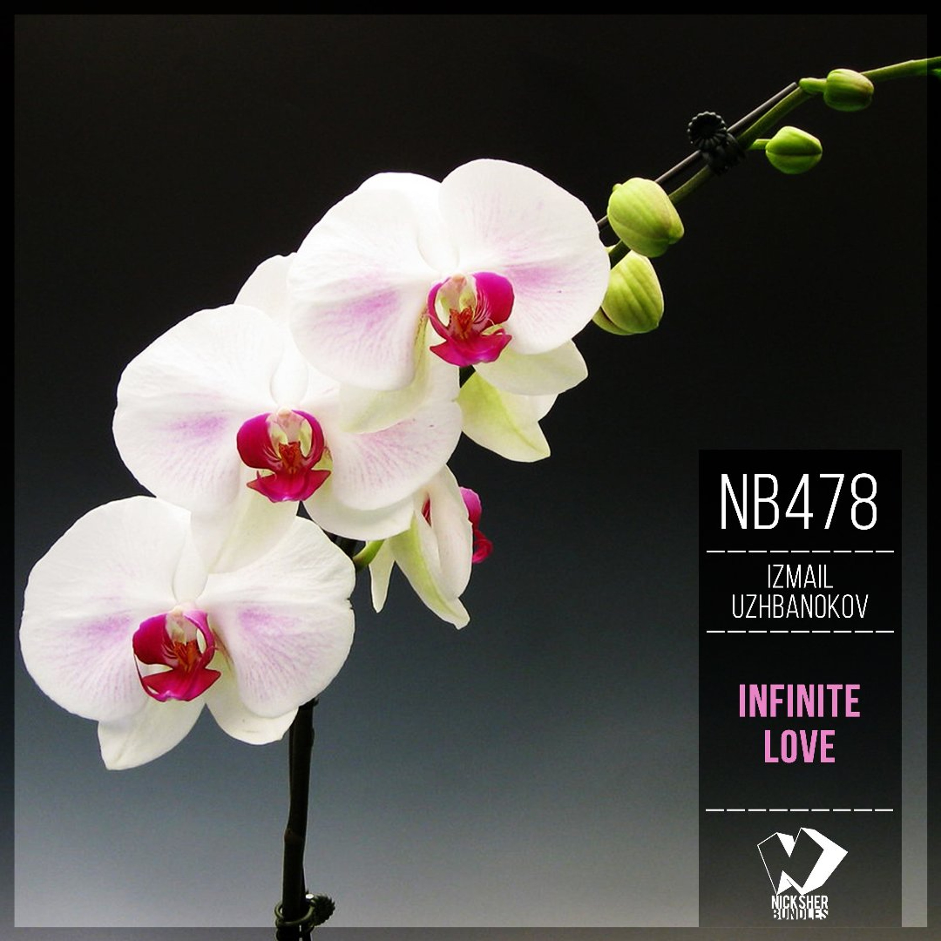 Izmail Uzhbanokov - Infinite Love (Original Mix) episode artwork
