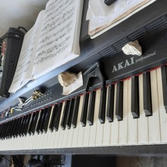 Hugo - Piano Mandala 6366 3:24 17-06-2022